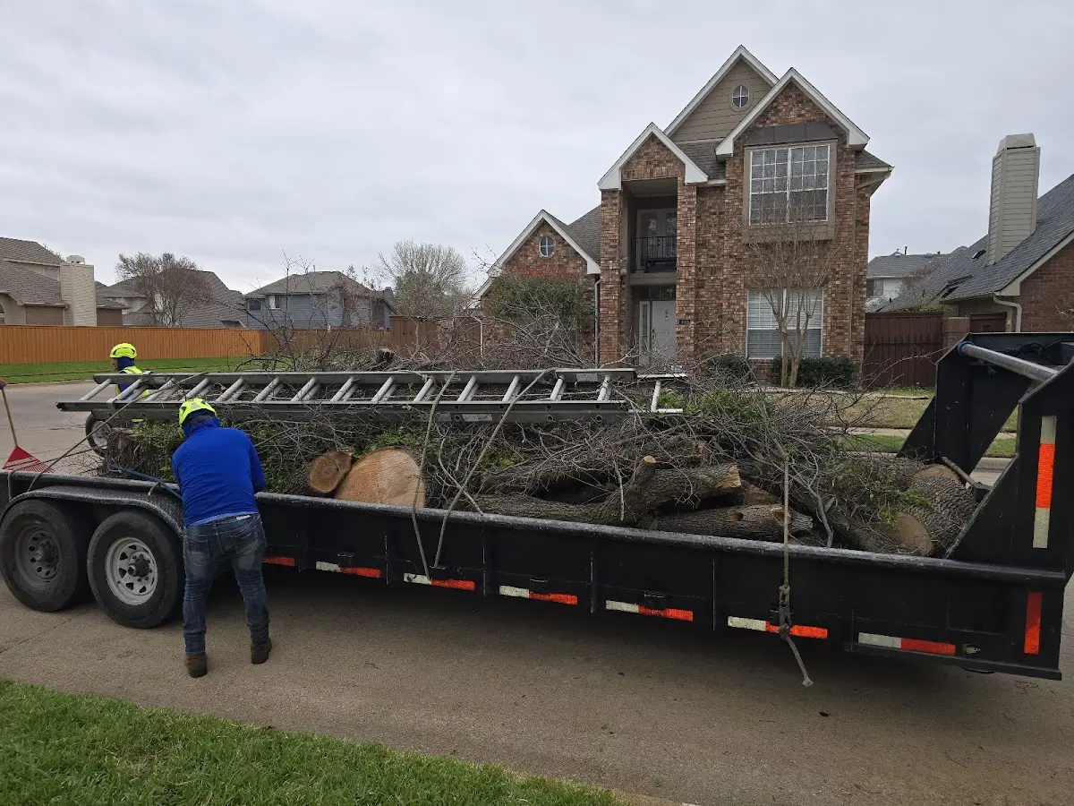 Expert Deadwooding with proper safety equipment in Hinsdale